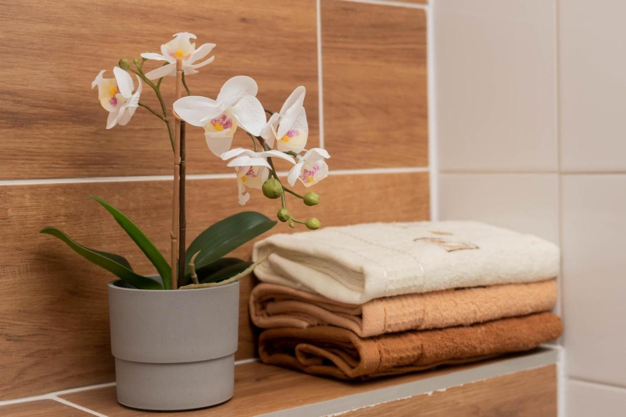 Apartamenty Goszowita Stronie Śląskie 외부 사진