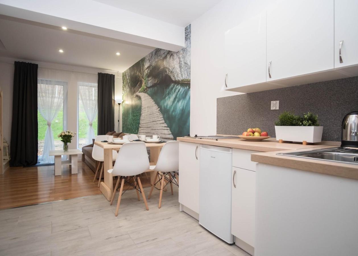 Apartamenty Goszowita Stronie Śląskie 외부 사진